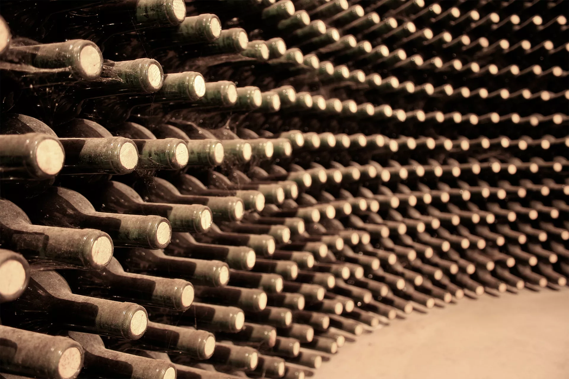 Muchas botellas de vino con polvo colocadas en horizontal
